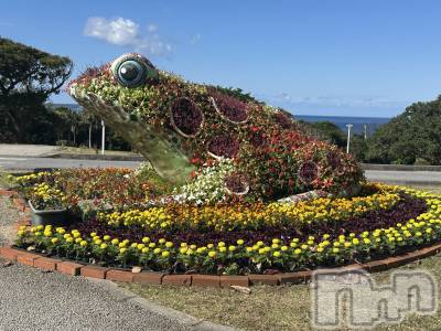 ��ˬ����Х��顦����֥���� �ץ���� ��ˬ(����� �ץ���� ����) �ĳ� �ޤ�(26)��1��25���̥�֥�����💚��