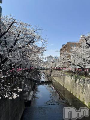 ��ˬ����Х��顦����֥���� �ץ���� ��ˬ(����� �ץ���� ����) �ĳ� �ޤ�(26)��4��1���̥�֥�����🌸��