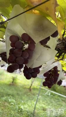 ��ˬ����Х��顦����֥���� �ץ���� ��ˬ(����� �ץ���� ����) �ĳ� �ޤ�(26)��9��29���̥�֥�����🍇��