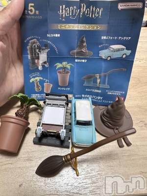 ��ˬ����Х��顦����֥���� �ץ���� ��ˬ(����� �ץ���� ����) �ĳ� �ޤ�(26)��10��22���̥�֥�����🪄��