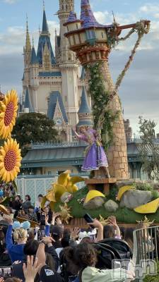 ��ˬ����Х��顦����֥���� �ץ���� ��ˬ(����� �ץ���� ����) �ĳ� �ޤ�(26)��11��16���̥�֥�����🏰��