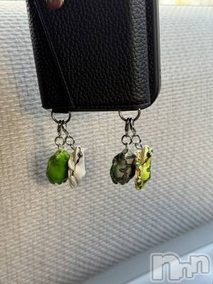 ��ˬ����Х��顦����֥���� �ץ���� ��ˬ(����� �ץ���� ����) �ĳ� �ޤ�(26)��12��5���̥�֥�����🐸��