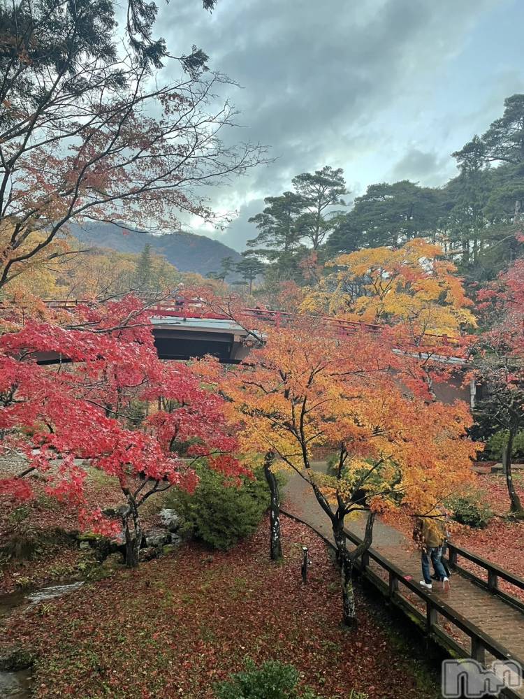 ĮХ顦lounge Garden(饦󥸥ǥ) 󤫤1130̥֥🍁