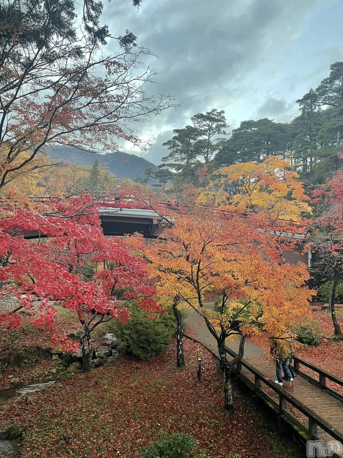 ĮХ顦lounge Garden(饦󥸥ǥ) 2024ǯ1130̥֥🍁