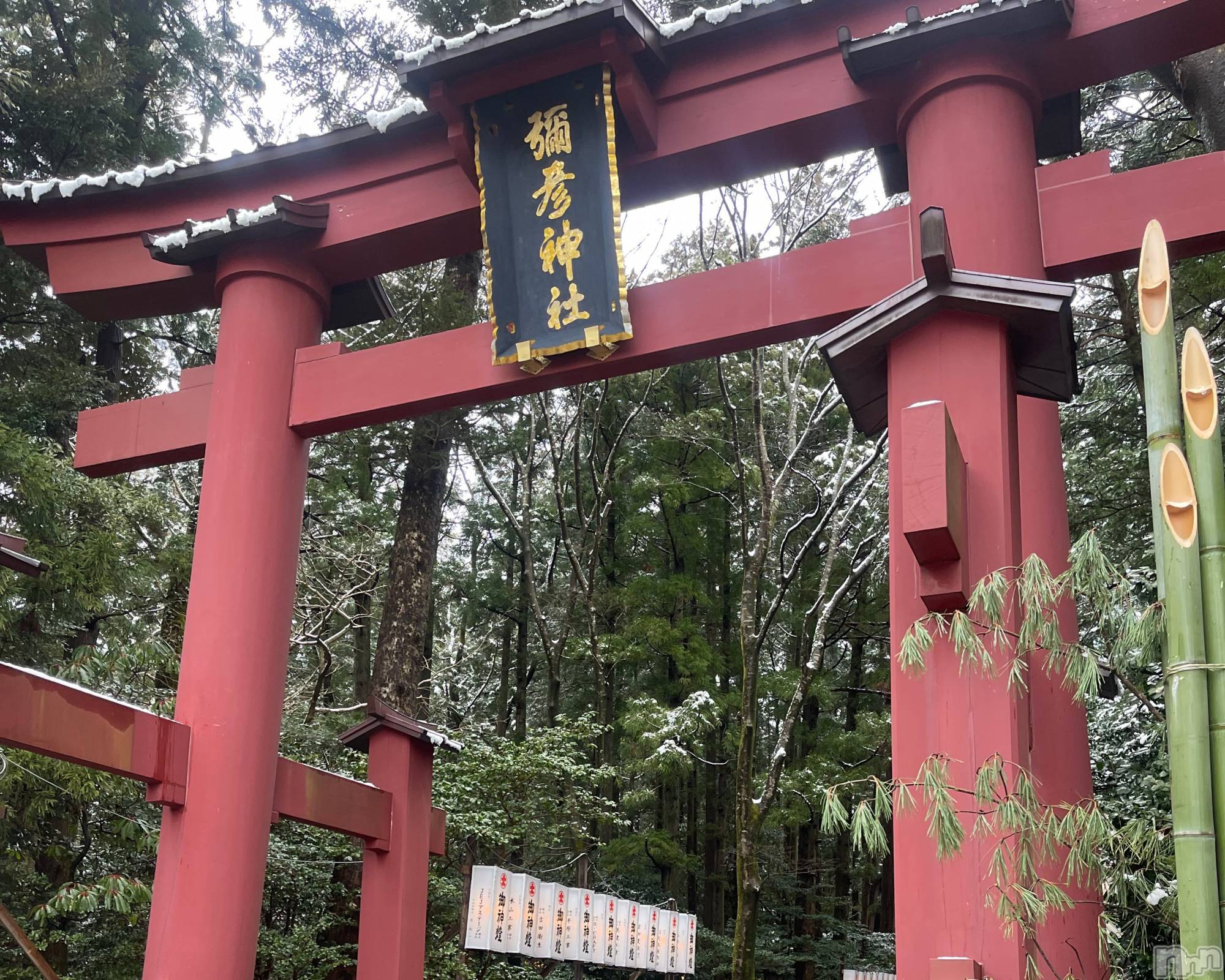 ĮХ顦lounge Garden(饦󥸥ǥ) 2025ǯ130̥֥2025🐍✨