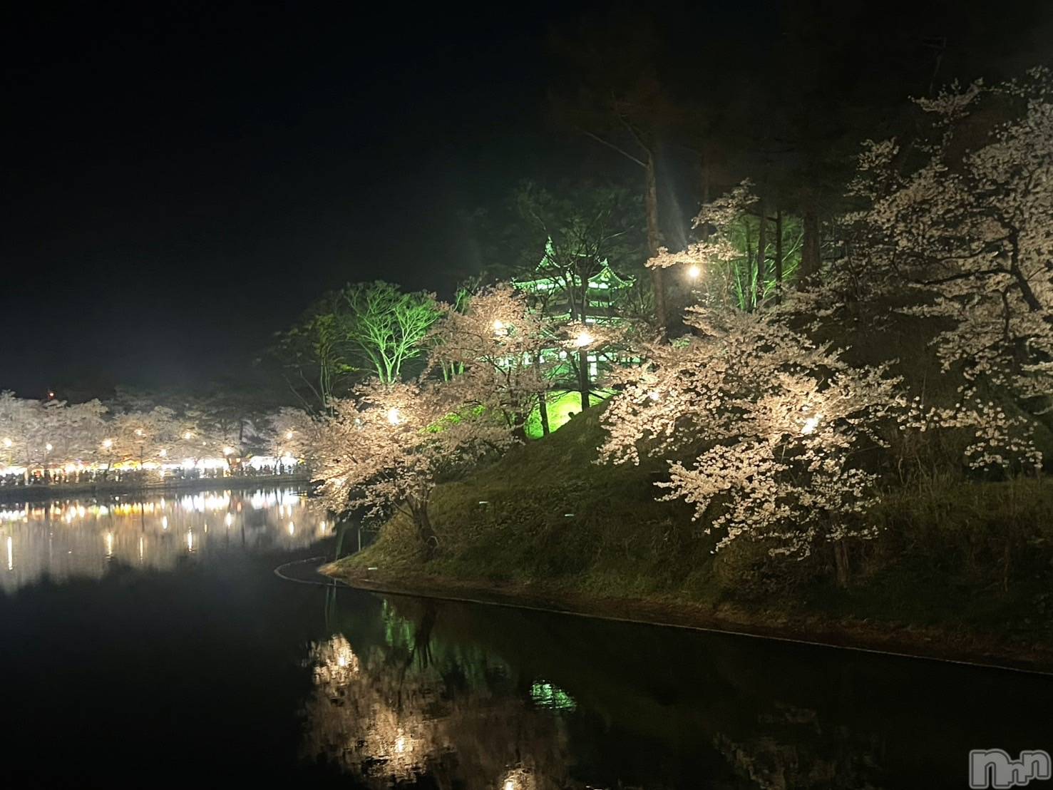 ĮХ顦lounge Garden(饦󥸥ǥ) 2025ǯ510̥֥🌸