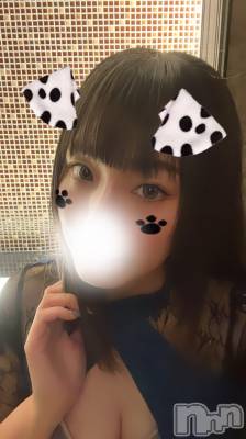 ĮХ顦Club Lusso(֡å) 730̥֥֤ä