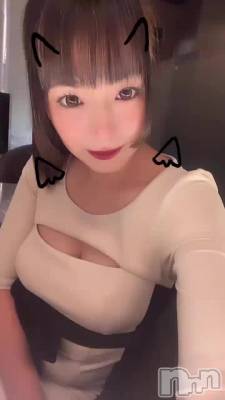 🐷