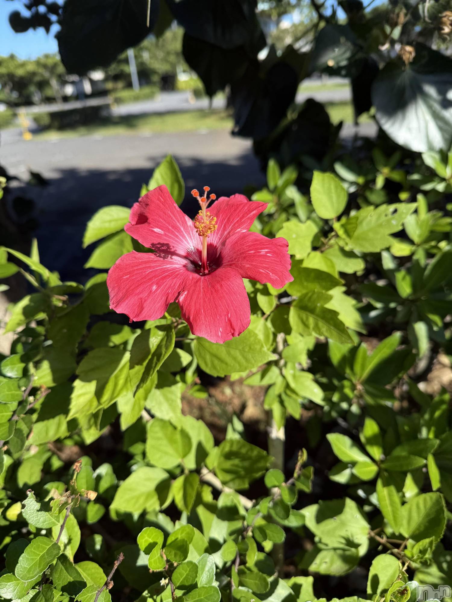 ���ᥭ��Х��顦�����CLUB ASLI(����֥�����) ��2025ǯ9��15���̥�֥����֤ߤơ�����