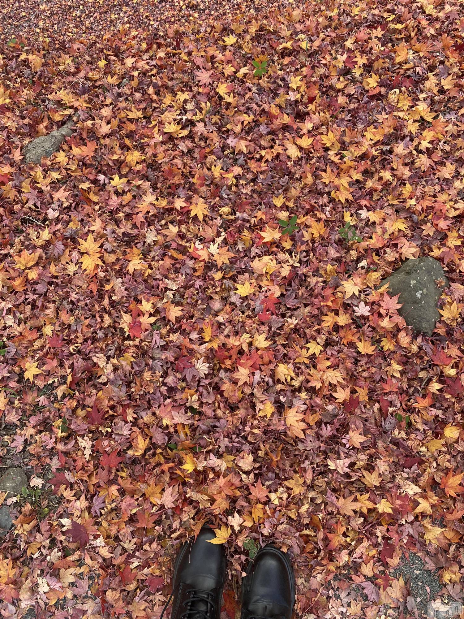 ���ᥭ��Х��顦�����CLUB ASLI(����֥�����) ��2025ǯ11��12���̥�֥����ֹ��ա�