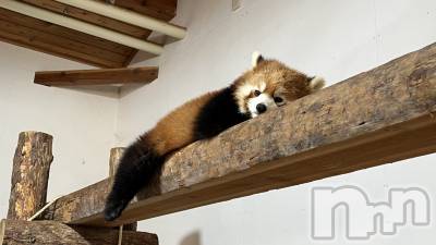 ���ᥭ��Х��顦�����CLUB ASLI(����֥�����) �ꤢ�ʤ�9��4���̥�֥�����🤦‍��️🤦‍��️🤦‍��️��