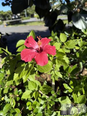 ���ᥭ��Х��顦�����CLUB ASLI(����֥�����) �ꤢ�ʤ�9��15���̥�֥����֤ߤơ�����