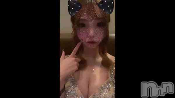 ��🐈‍⬛🎀��