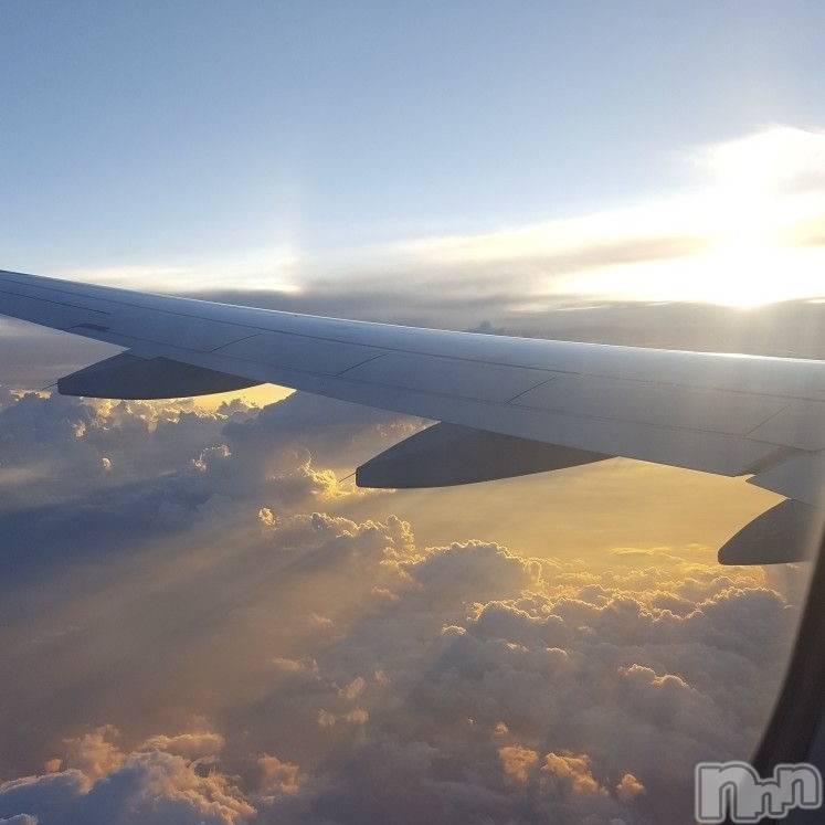 ��ˬ����Х��顦����֥���� �ץ���� ��ˬ(����� �ץ���� ����) ����� ǵ����6��6���̥�֥�����🌙��