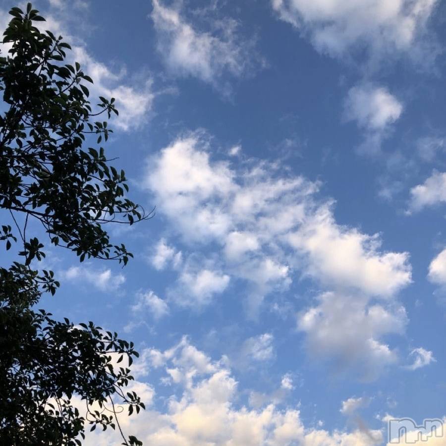 ��ˬ����Х��顦����֥���� �ץ���� ��ˬ(����� �ץ���� ����) ����� ǵ����6��10���̥�֥�����🌙��