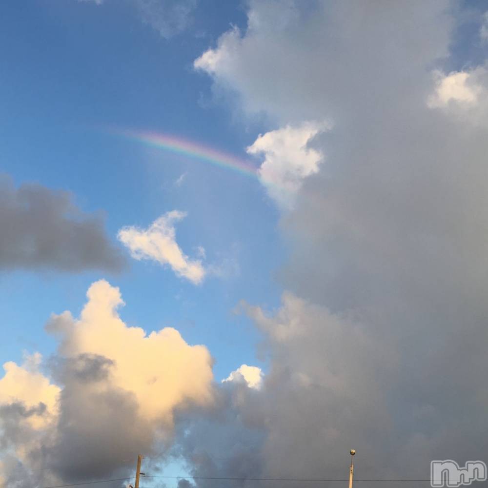 ��ˬ����Х��顦����֥���� �ץ���� ��ˬ(����� �ץ���� ����) ����� ǵ����7��11���̥�֥�����🌈��