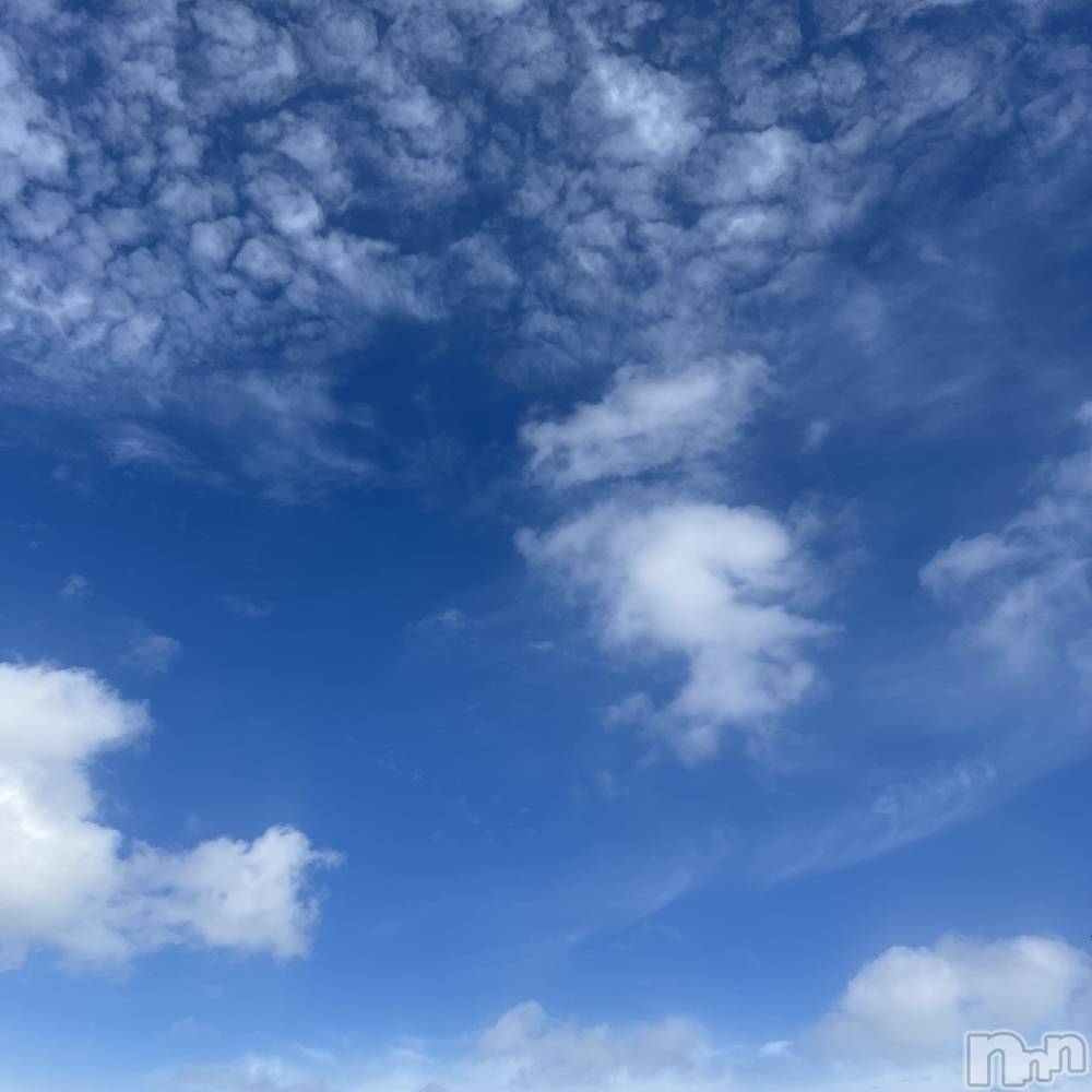 ��ˬ����Х��顦����֥���� �ץ���� ��ˬ(����� �ץ���� ����) ����� ǵ����7��20���̥�֥�����🌞��