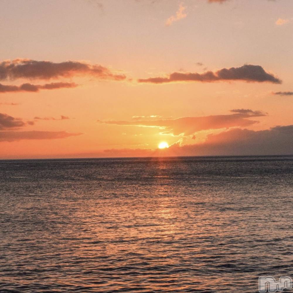 ��ˬ����Х��顦����֥���� �ץ���� ��ˬ(����� �ץ���� ����) ����� ǵ����9��17���̥�֥�����🌆��