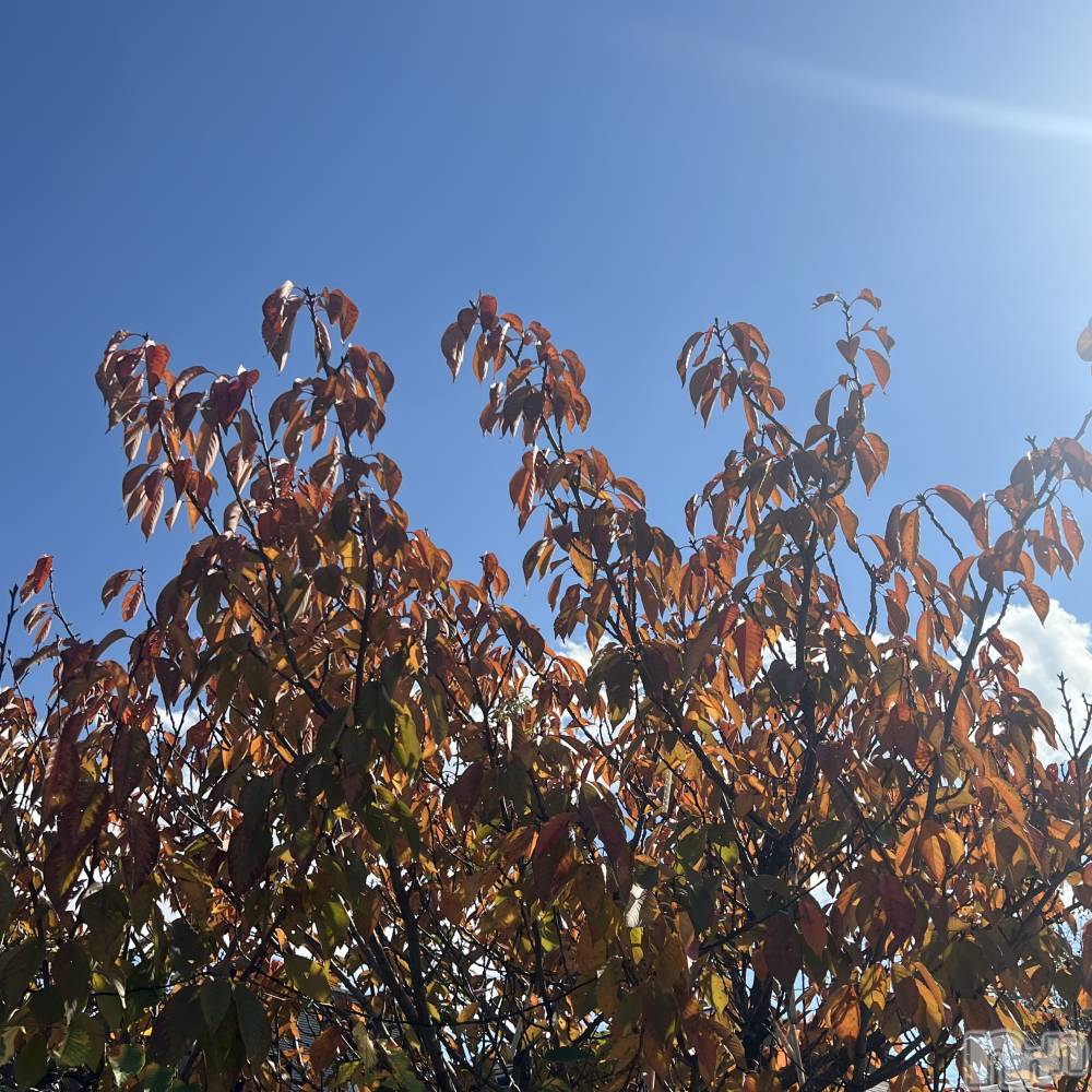 ��ˬ����Х��顦����֥���� �ץ���� ��ˬ(����� �ץ���� ����) ����� ǵ����11��14���̥�֥�����11��14�� 12��01ʬ�Υ֥�����