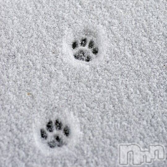 ��ˬ����Х��顦����֥���� �ץ���� ��ˬ(����� �ץ���� ����) ����� ǵ����12��24���̥�֥�����❄️��