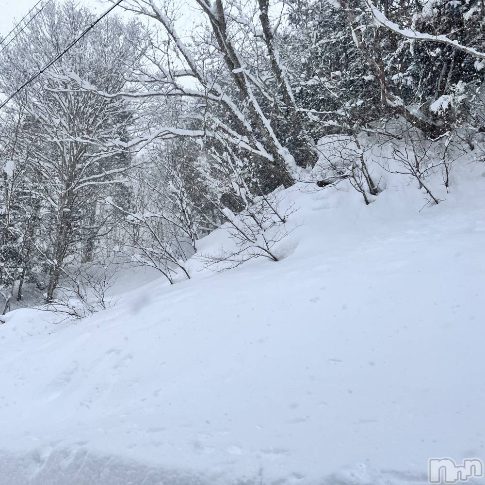 ��ˬ����Х��顦����֥���� �ץ���� ��ˬ(����� �ץ���� ����) ����� ǵ����1��7���̥�֥�����❄️��