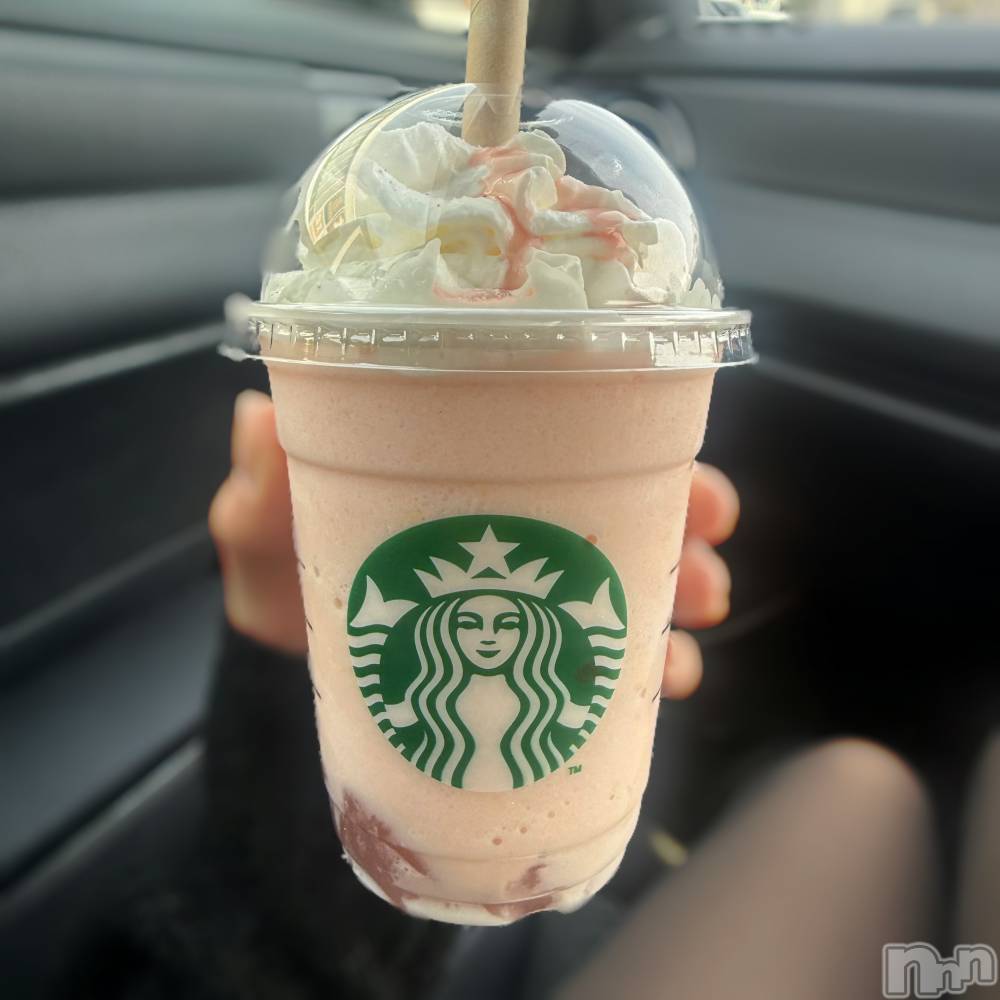 ��ˬ����Х��顦����֥���� �ץ���� ��ˬ(����� �ץ���� ����) ����� ǵ����2��18���̥�֥�����🌸��