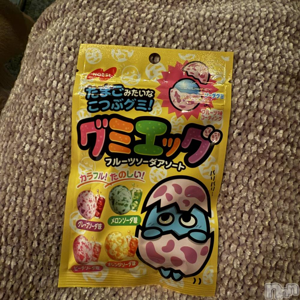 ��ˬ����Х��顦����֥���� �ץ���� ��ˬ(����� �ץ���� ����) ����� ǵ����3��15���̥�֥�����🥚��