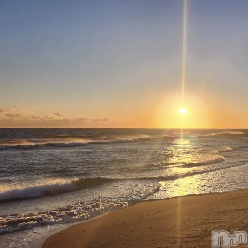 ��ˬ����Х��顦����֥���� �ץ���� ��ˬ(����� �ץ���� ����) ����� ǵ����8��6���̥�֥�����🌅��