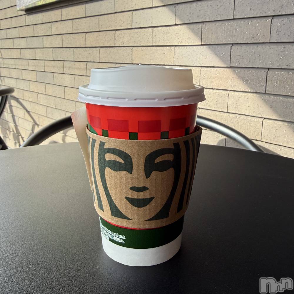 ��ˬ����Х��顦����֥���� �ץ���� ��ˬ(����� �ץ���� ����) ����� ǵ����12��12���̥�֥�����🥶��