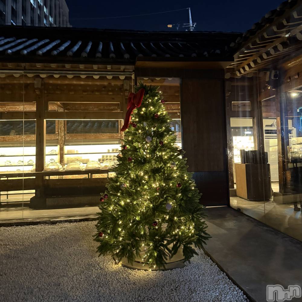 ��ˬ����Х��顦����֥���� �ץ���� ��ˬ(����� �ץ���� ����) ����� ǵ����12��24���̥�֥�����🎀��