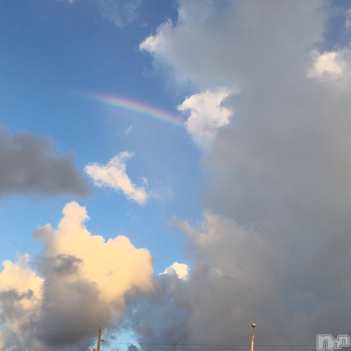 ��ˬ����Х��顦����֥���� �ץ���� ��ˬ(����� �ץ���� ����) ��2024ǯ7��11���̥�֥�����🌈��