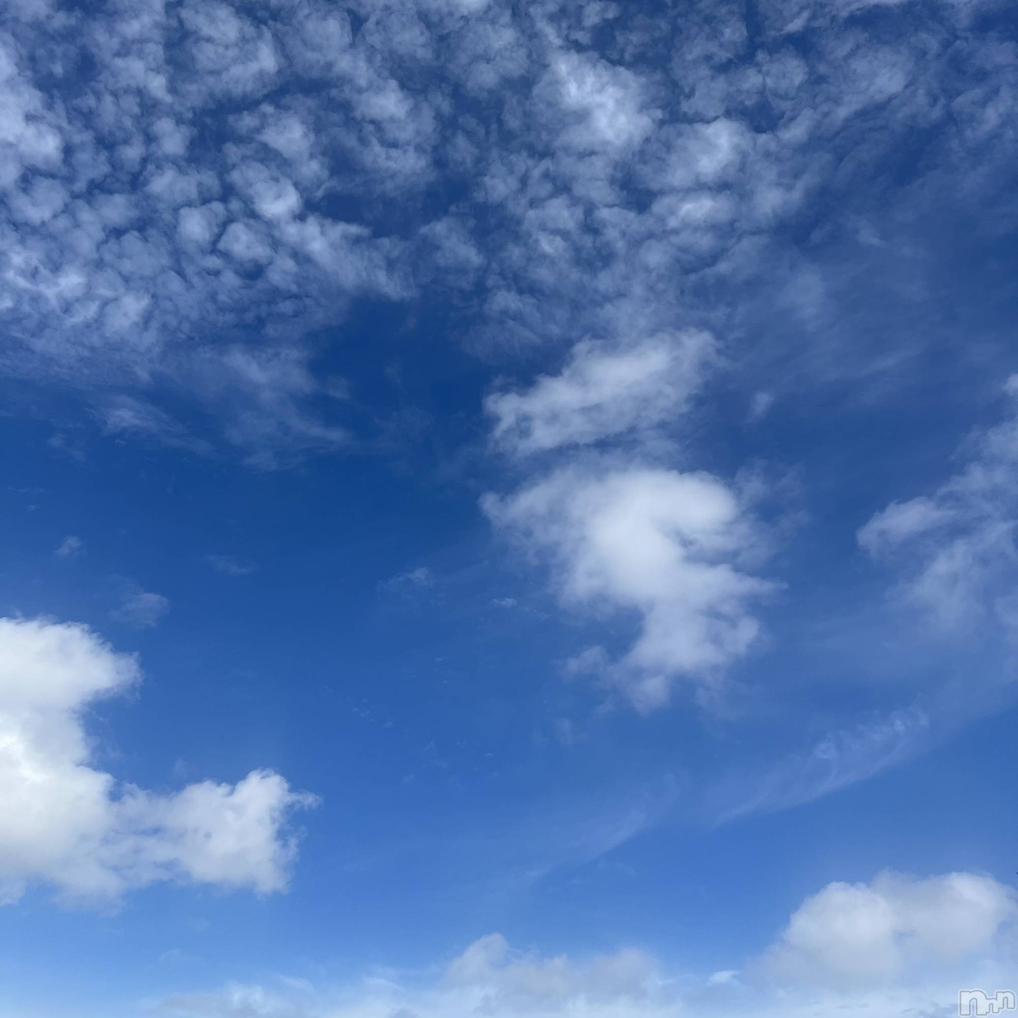 ��ˬ����Х��顦����֥���� �ץ���� ��ˬ(����� �ץ���� ����) ��2024ǯ7��20���̥�֥�����🌞��