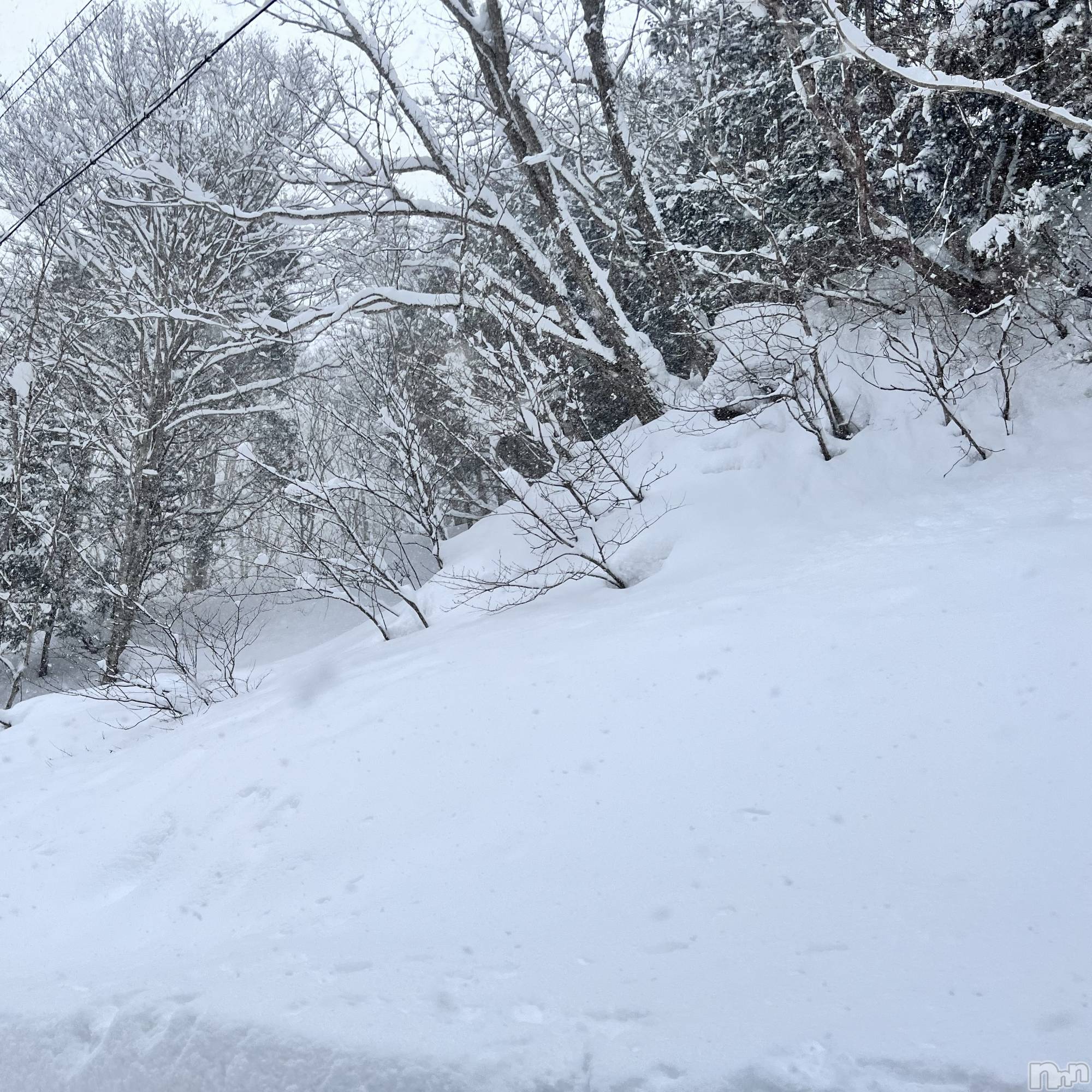 ��ˬ����Х��顦����֥���� �ץ���� ��ˬ(����� �ץ���� ����) ��2025ǯ1��7���̥�֥�����❄️��