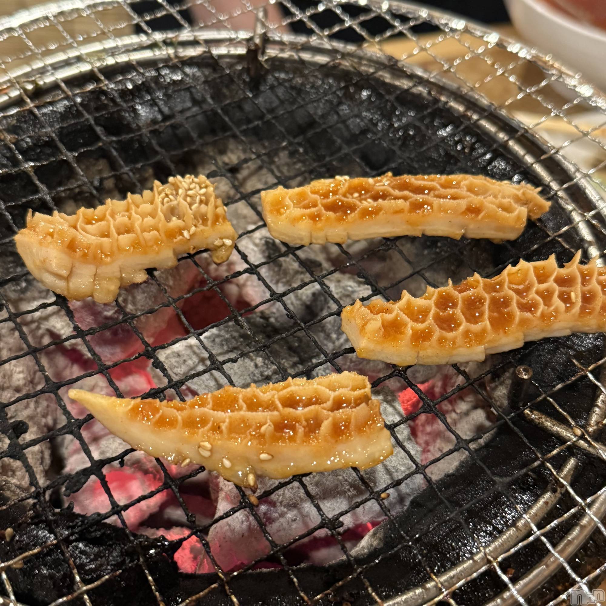 ��ˬ����Х��顦����֥���� �ץ���� ��ˬ(����� �ץ���� ����) ��2025ǯ6��17���̥�֥�����🐝��