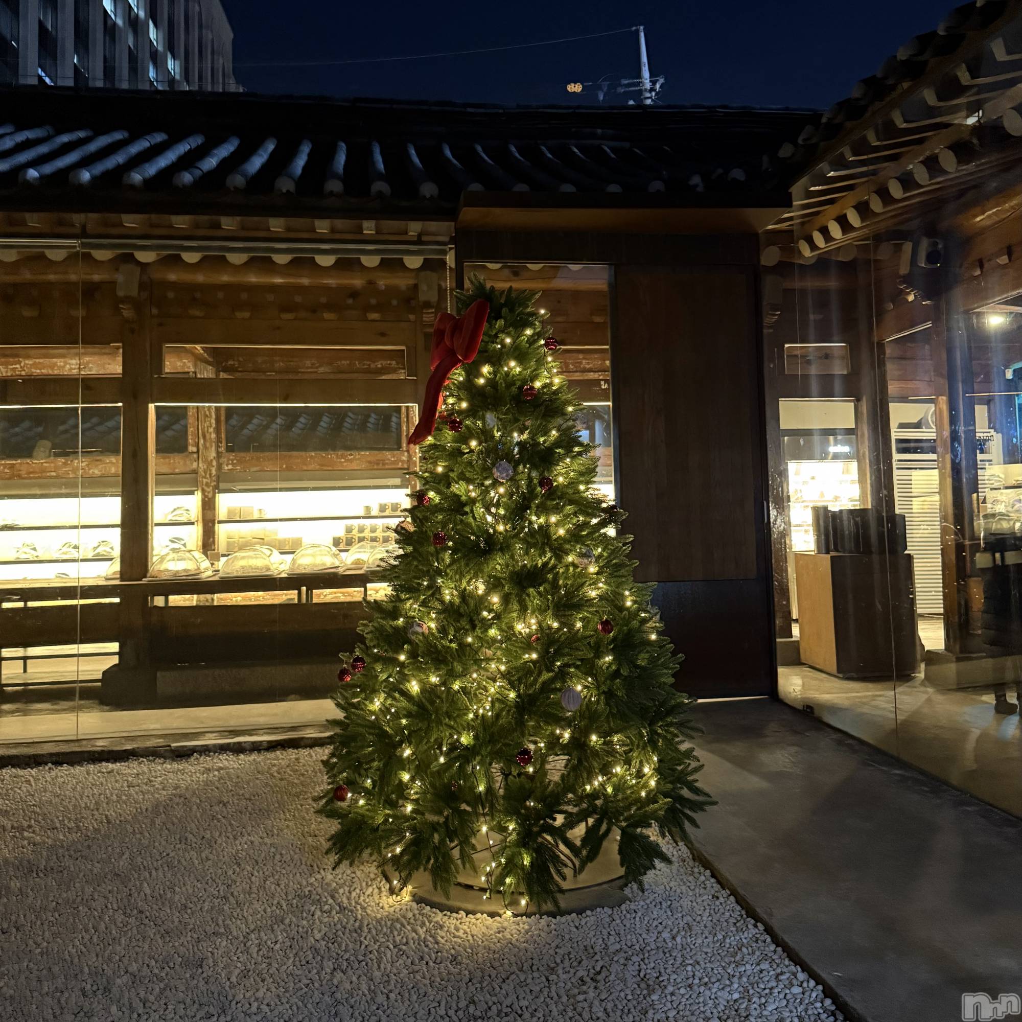 ��ˬ����Х��顦����֥���� �ץ���� ��ˬ(����� �ץ���� ����) ��2025ǯ12��24���̥�֥�����🎀��