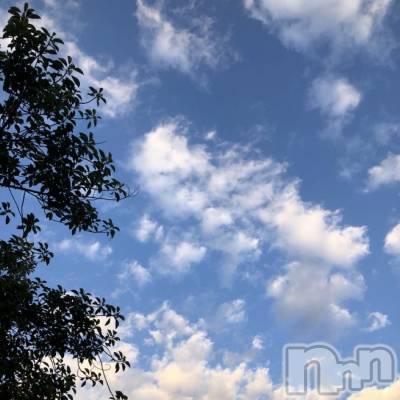 ��ˬ����Х��顦����֥���� �ץ���� ��ˬ(����� �ץ���� ����) ����� ǵ����6��10���̥�֥�����🌙��