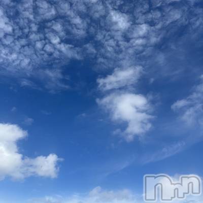 ��ˬ����Х��顦����֥���� �ץ���� ��ˬ(����� �ץ���� ����) ����� ǵ����7��20���̥�֥�����🌞��