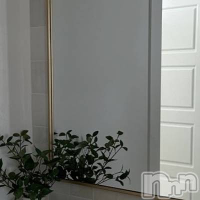 ��ˬ����Х��顦����֥���� �ץ���� ��ˬ(����� �ץ���� ����) ����� ǵ����9��3���̥�֥�����🌿��