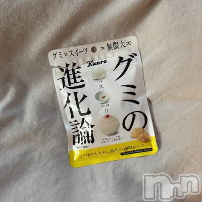 ��ˬ����Х��顦����֥���� �ץ���� ��ˬ(����� �ץ���� ����) ����� ǵ����6��5���̥�֥�����🤤��