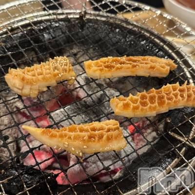 ��ˬ����Х��顦����֥���� �ץ���� ��ˬ(����� �ץ���� ����) ����� ǵ����6��17���̥�֥�����🐝��