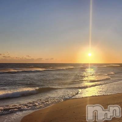 ��ˬ����Х��顦����֥���� �ץ���� ��ˬ(����� �ץ���� ����) ����� ǵ����8��6���̥�֥�����🌅��