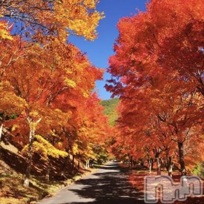 ��ˬ����Х��顦����֥���� �ץ���� ��ˬ(����� �ץ���� ����) ����� ǵ����11��25���̥�֥�����🍁��