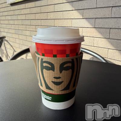 ��ˬ����Х��顦����֥���� �ץ���� ��ˬ(����� �ץ���� ����) ����� ǵ����12��12���̥�֥�����🥶��