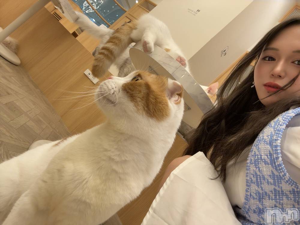 ܱХ顦club Eight(֡) 25̥֥жФޤ🐱