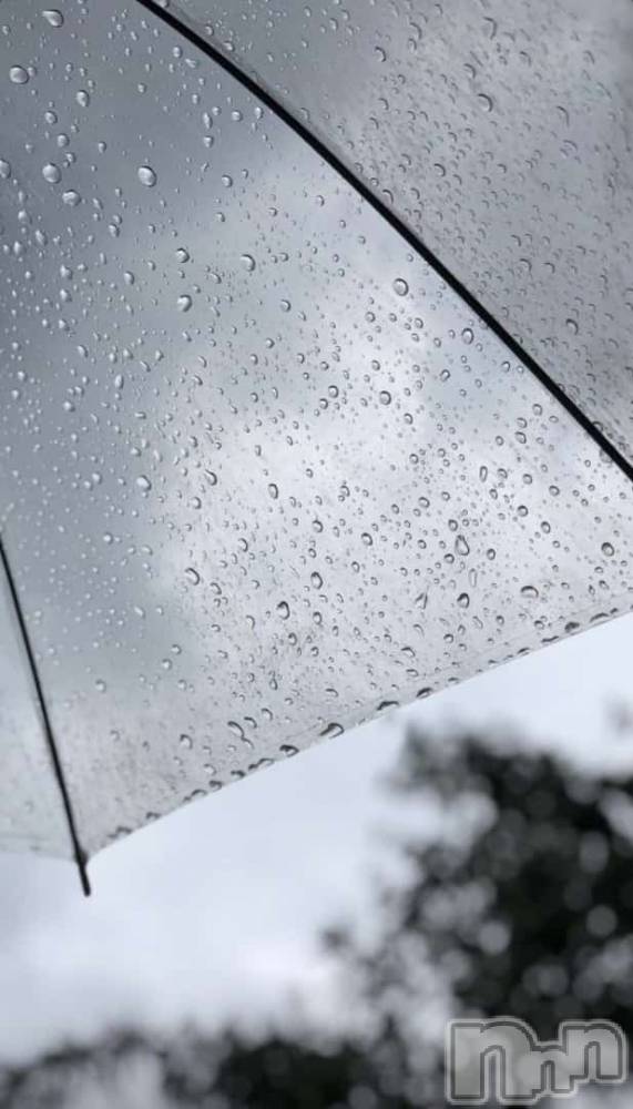 ��ˬ����Х��顦����֥���� �ץ���� ��ˬ(����� �ץ���� ����) �� �Ӽ���6��25���̥�֥�����☔️🐸��