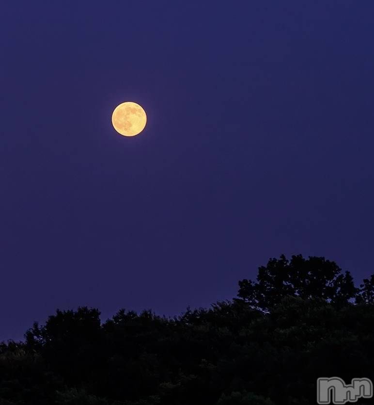 ��ˬ����Х��顦����֥���� �ץ���� ��ˬ(����� �ץ���� ����) �� �Ӽ���7��23���̥�֥�����🌃🌕��