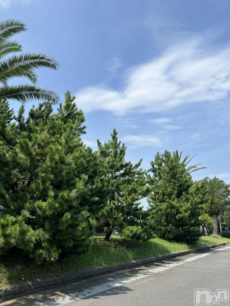 ��ˬ����Х��顦����֥���� �ץ���� ��ˬ(����� �ץ���� ����) �� �Ӽ���7��27���̥�֥�����🦖🌴��