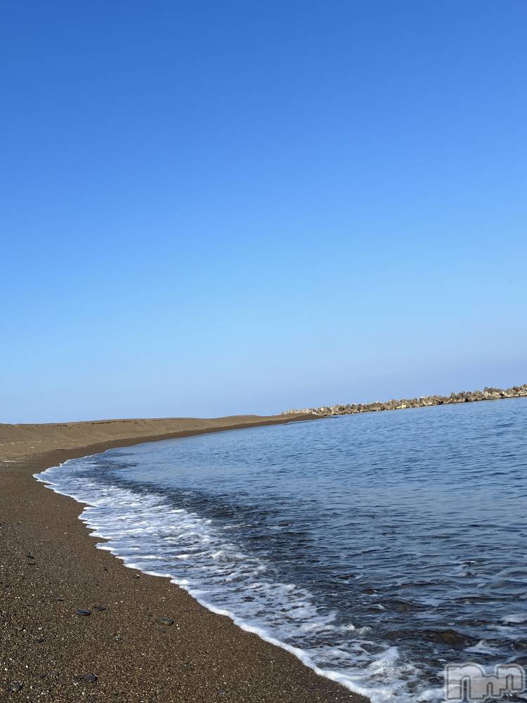 ��ˬ����Х��顦����֥���� �ץ���� ��ˬ(����� �ץ���� ����) �� �Ӽ���8��10���̥�֥�����🏝️🪼��