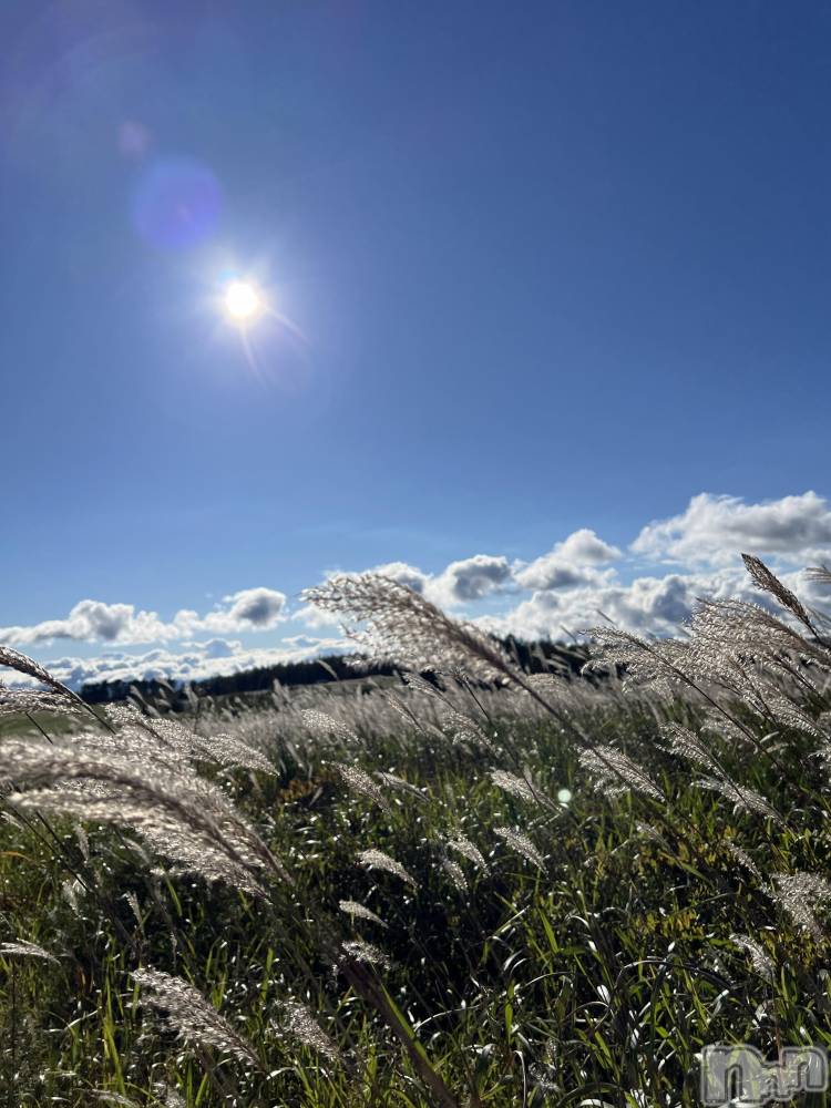 ��ˬ����Х��顦����֥���� �ץ���� ��ˬ(����� �ץ���� ����) �� �Ӽ���9��24���̥�֥�����🌾🍂��