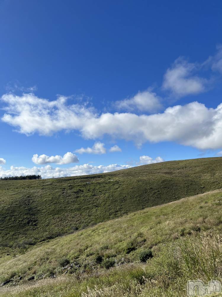 ��ˬ����Х��顦����֥���� �ץ���� ��ˬ(����� �ץ���� ����) �� �Ӽ���10��3���̥�֥�����🍃⛅️��